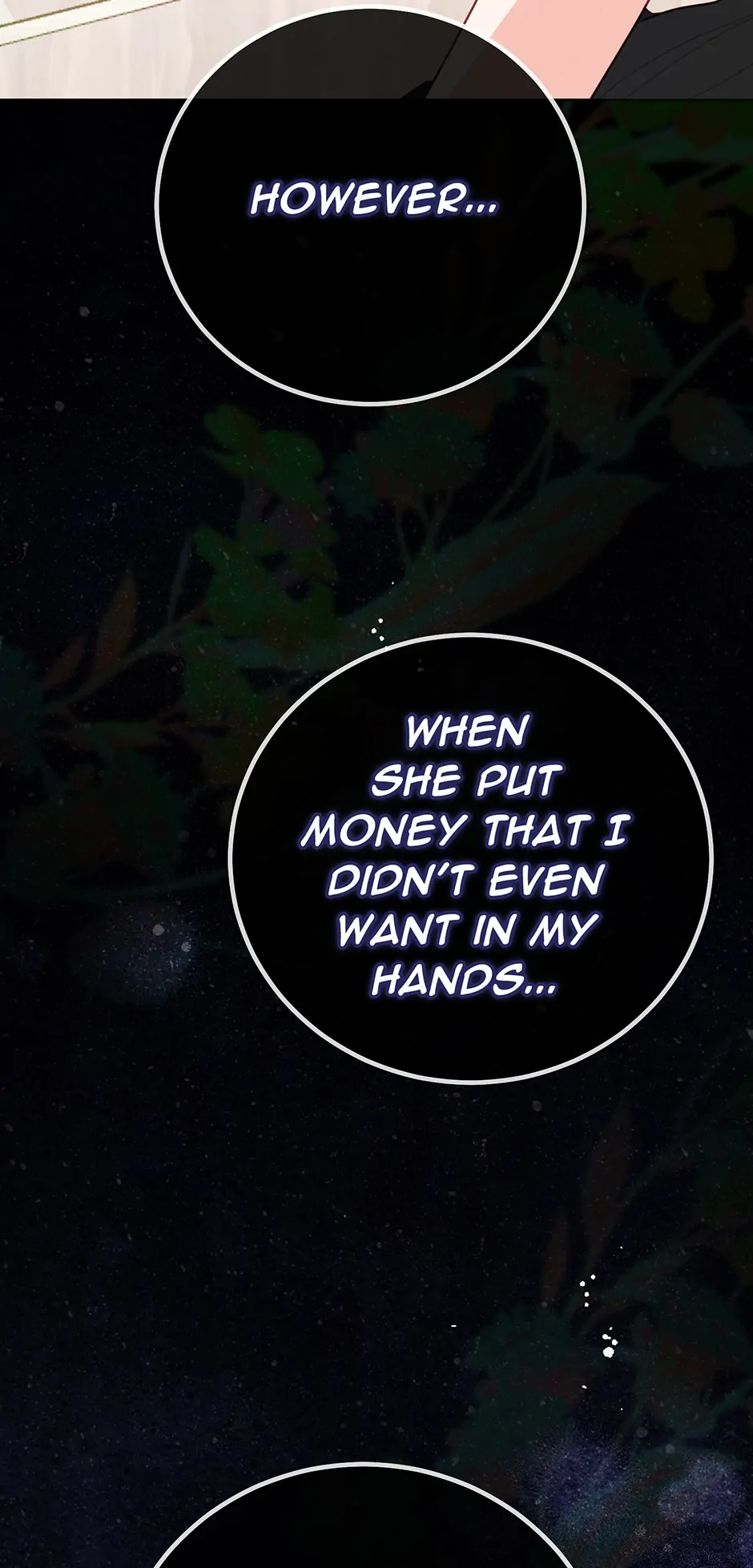 The Abduction of Mademoiselle chapter 99 page 73