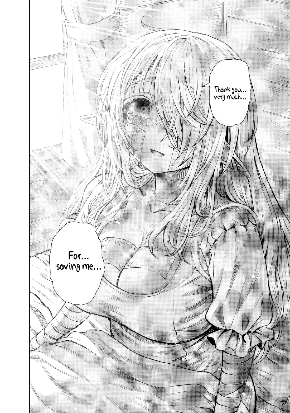 The Apothecary Is Gonna Make This Ragged Elf Happy (Serialized) chapter 5 page 17