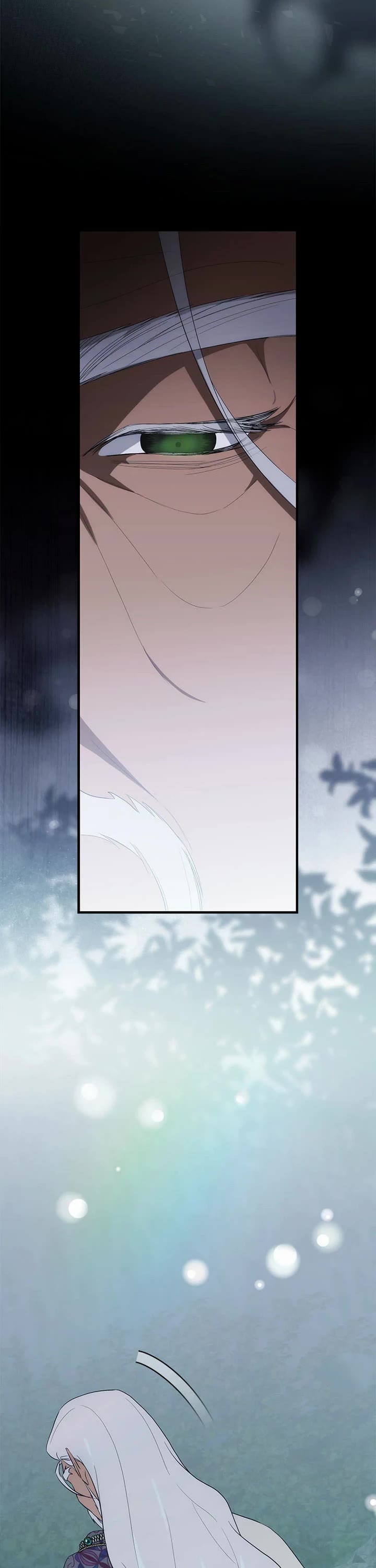 The Baby Isn’t Yours chapter 84 page 17