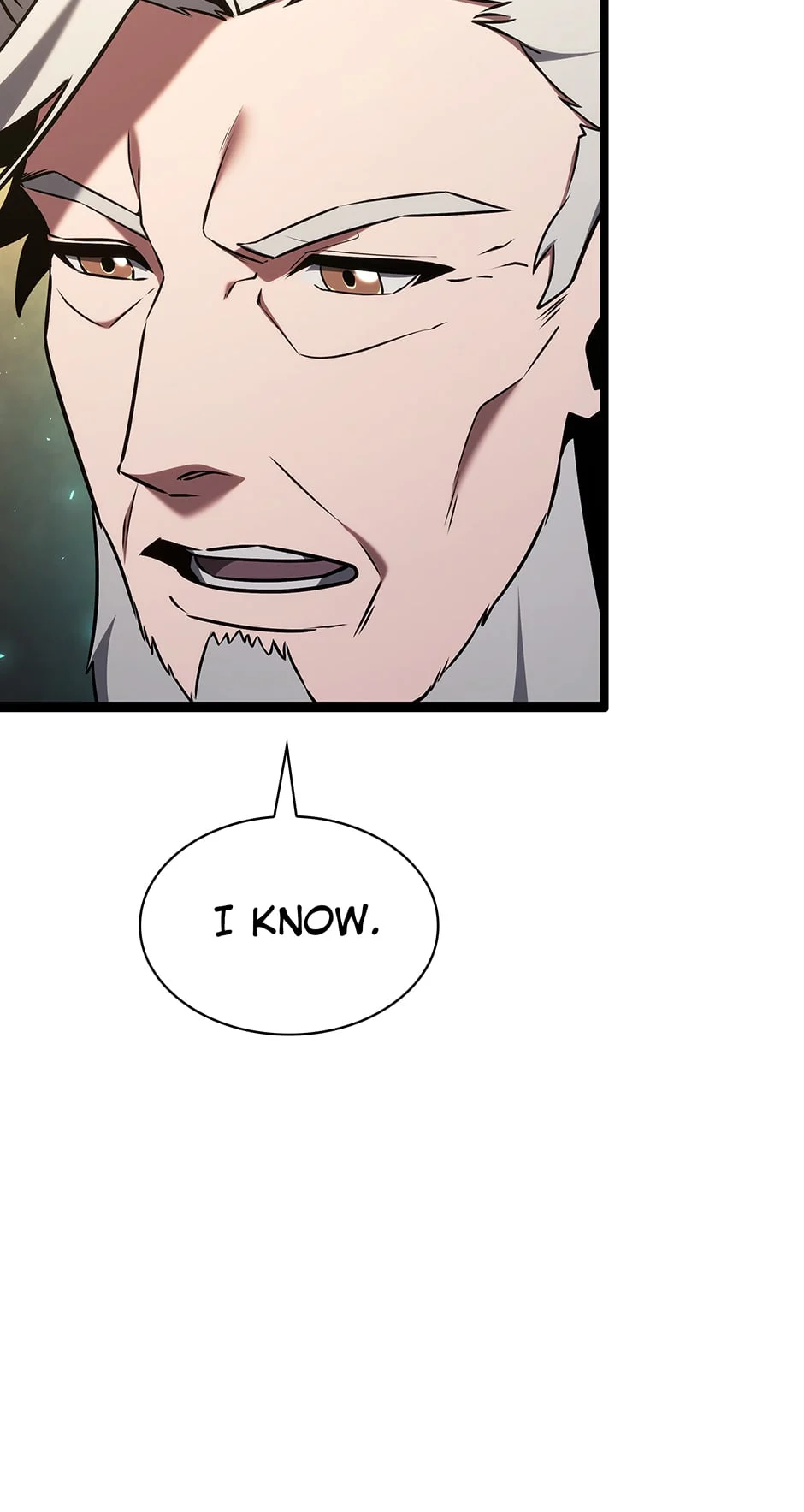 The Beginning After the End chapter 178 page 127