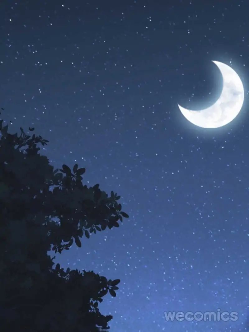 The Bestselling Empress chapter 5 page 15