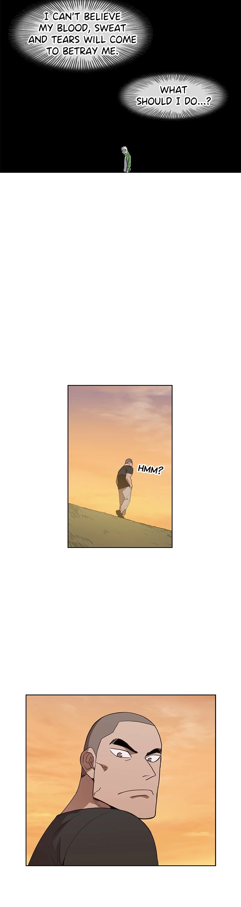 The Boxer chapter 117 page 14