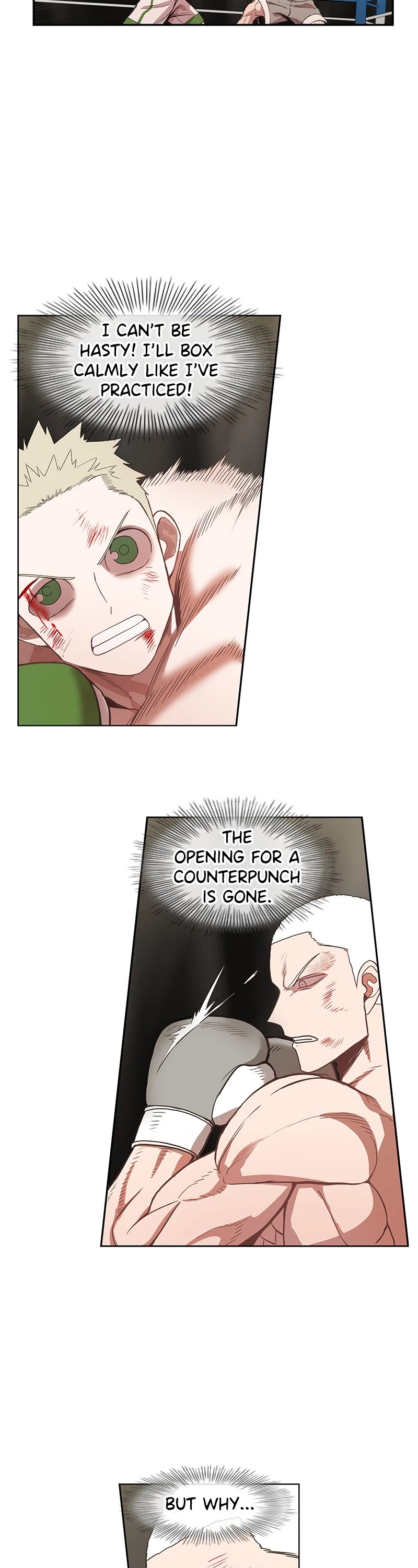 The Boxer chapter 132 page 14