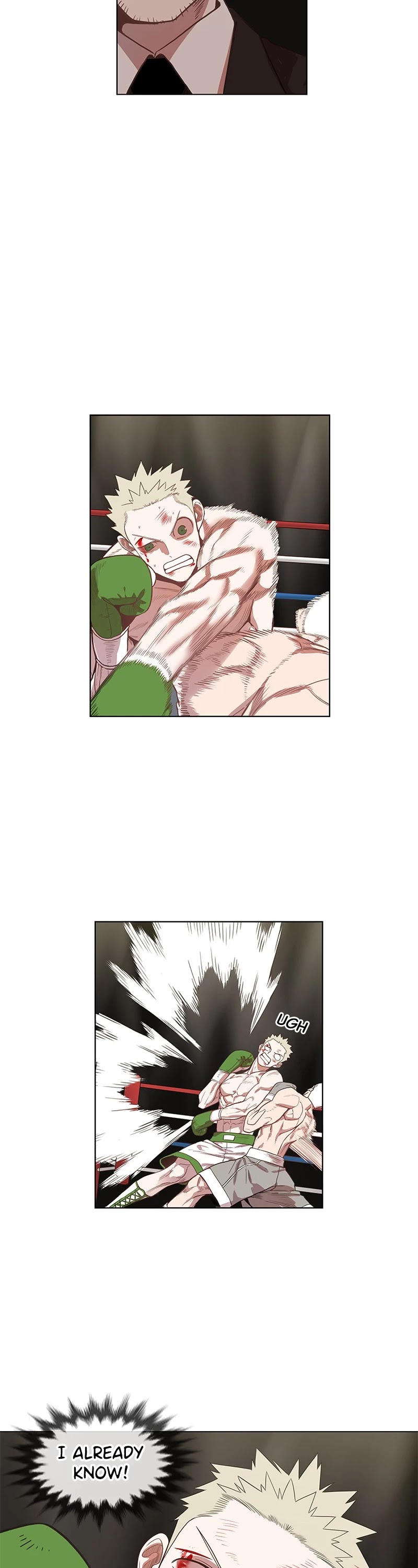 The Boxer chapter 132 page 25