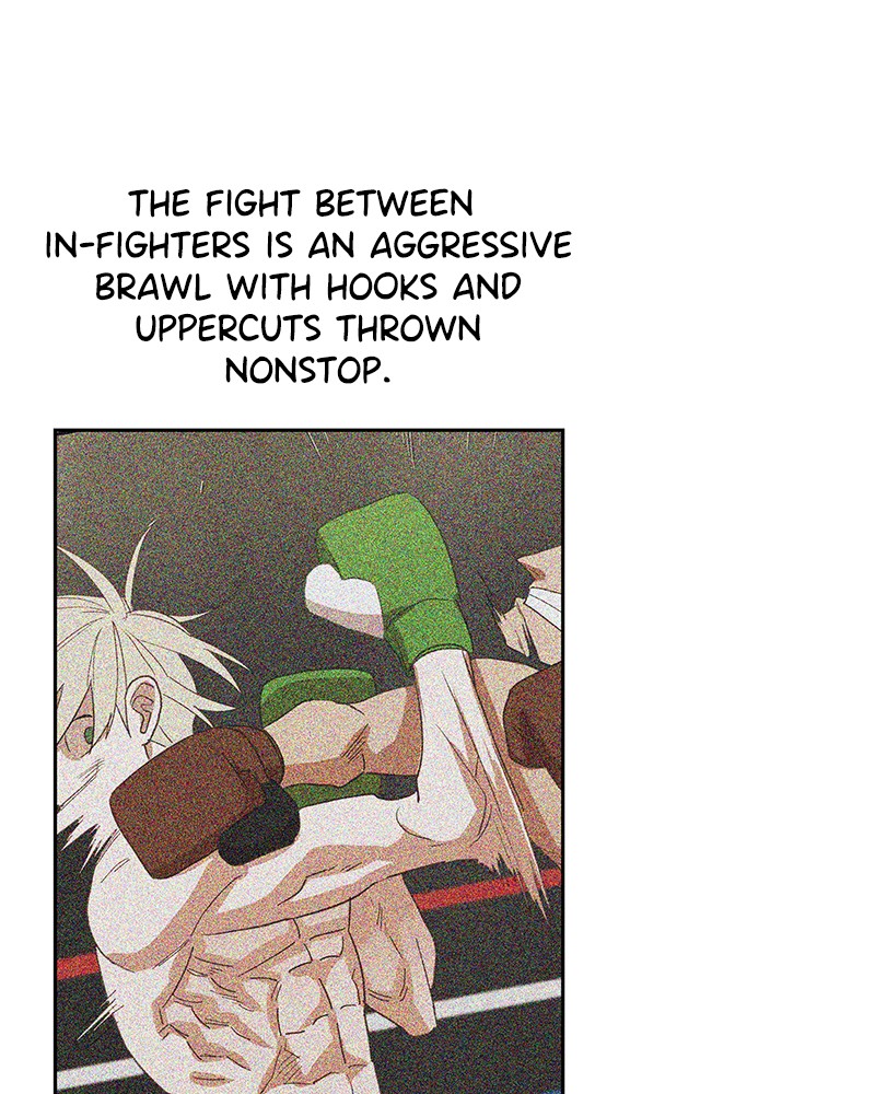 The Boxer chapter 36 page 41