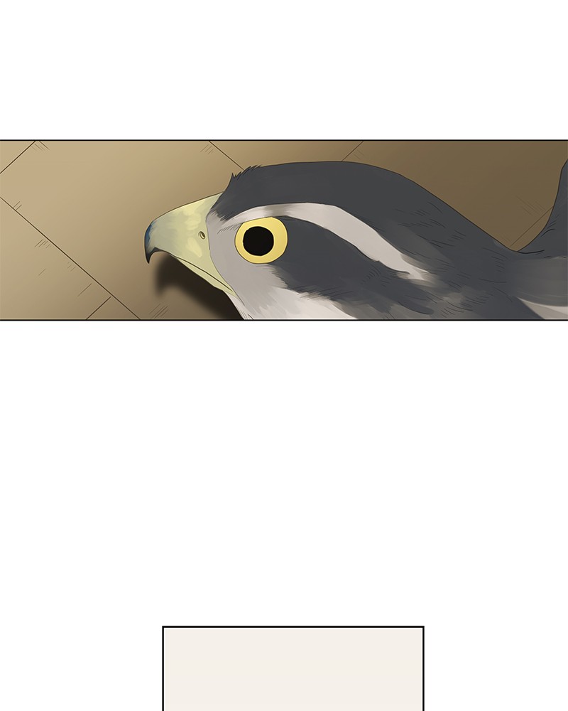 The Boxer chapter 38 page 1