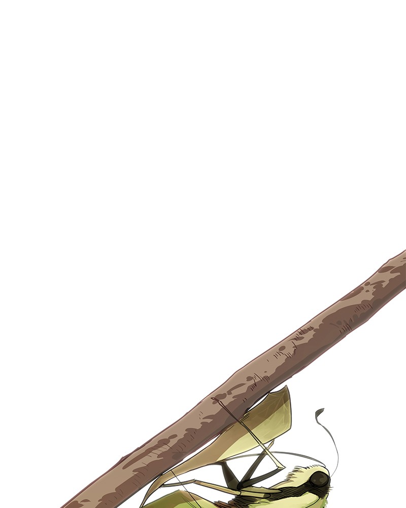 The Boxer chapter 46 page 129