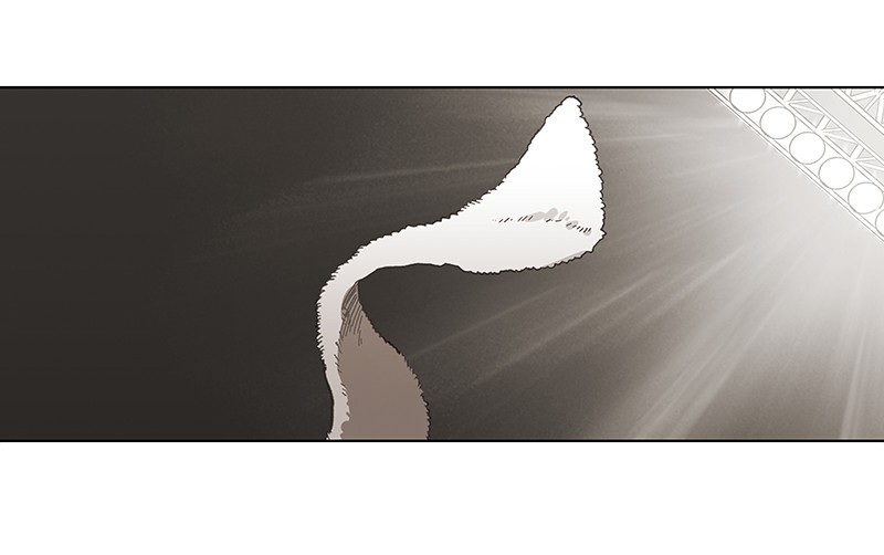 The Boxer chapter 50 page 189