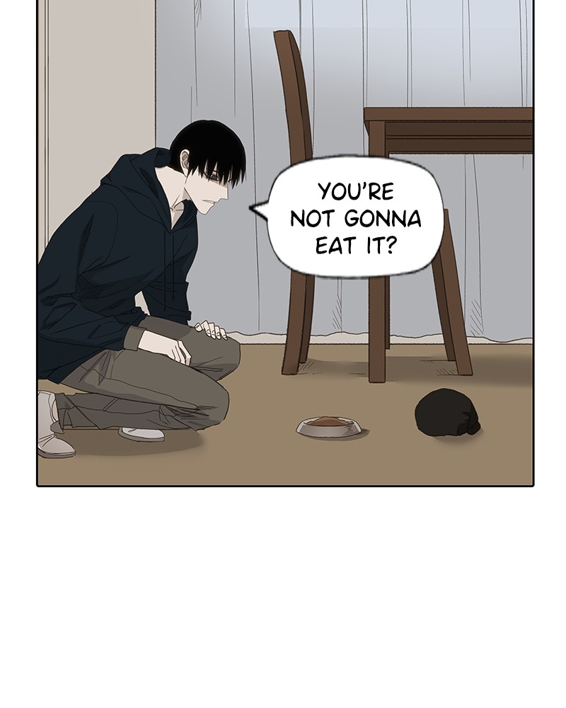 The Boxer chapter 84 page 37