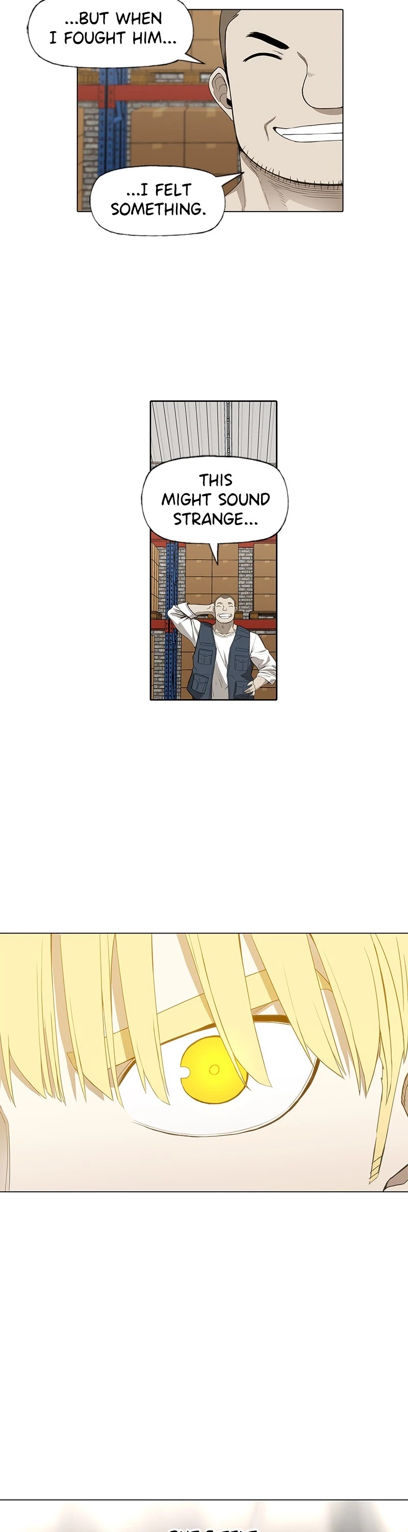 The Boxer chapter 96 page 29