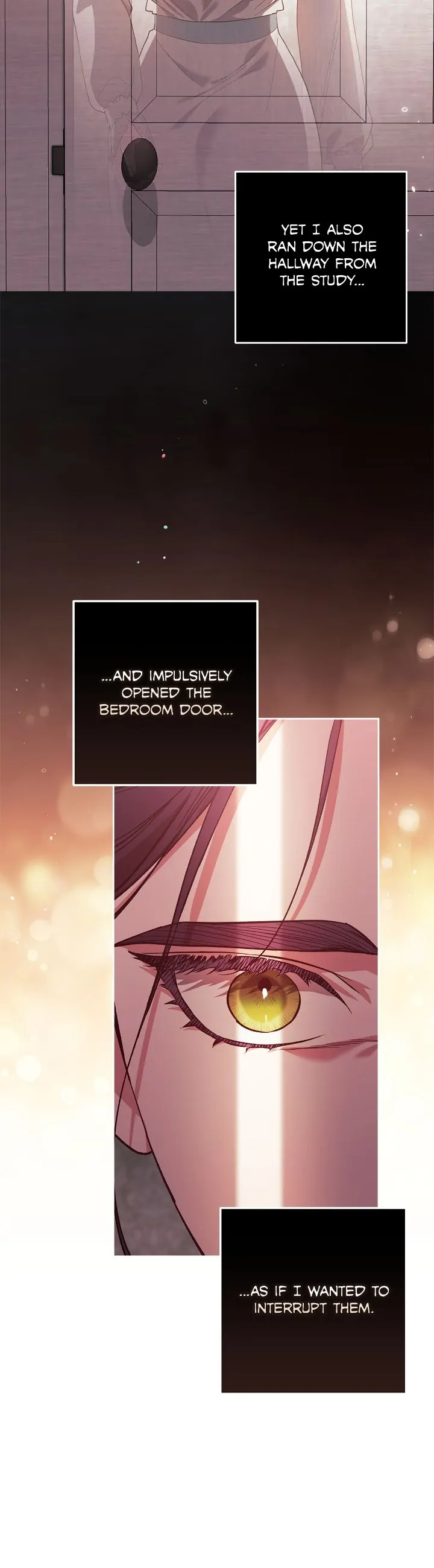 The Broken Ring: This Marriage Will Fail Anyway chapter 52 page 12