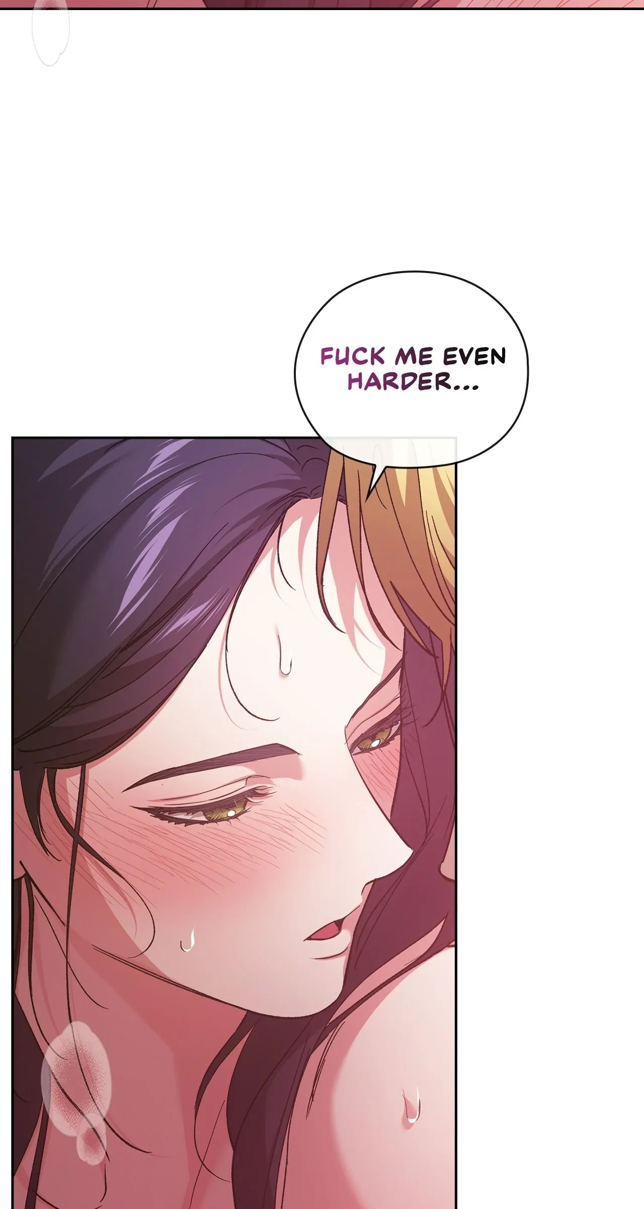 The Broken Ring: This Marriage Will Fail Anyway chapter 71.5 page 17