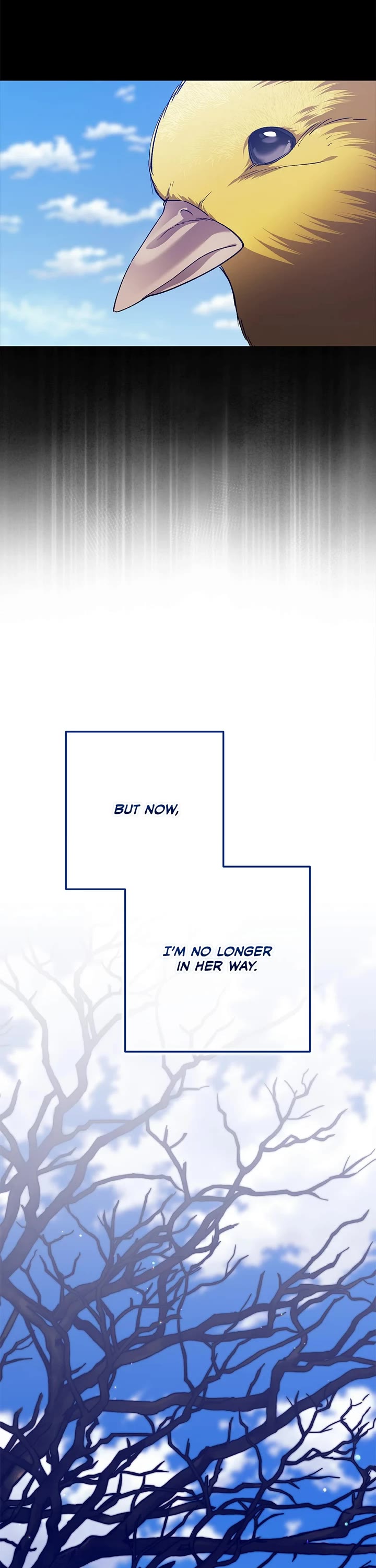 The Broken Ring: This Marriage Will Fail Anyway chapter 92 page 13