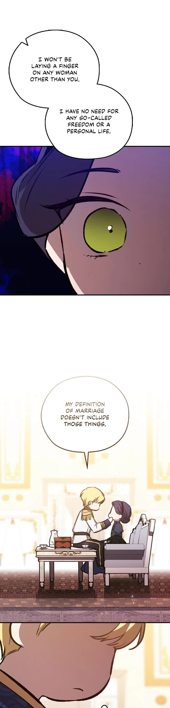 The Broken Ring: This Marriage Will Fail Anyway chapter 96.5 page 7