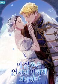 Cover of The Broken Ring: This Marriage Will Fail Anyway