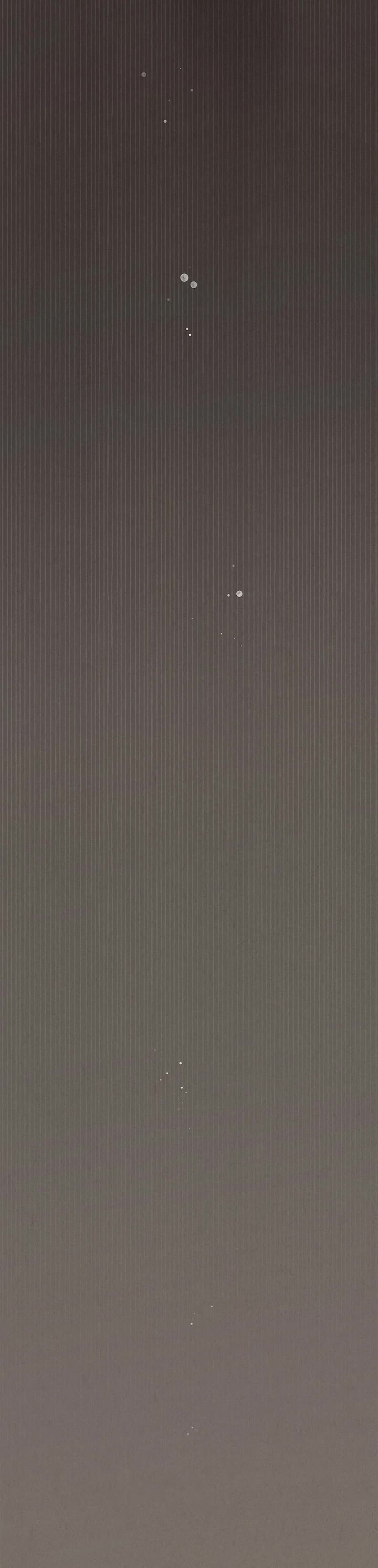 The Count's Secret Maid chapter 1 page 19