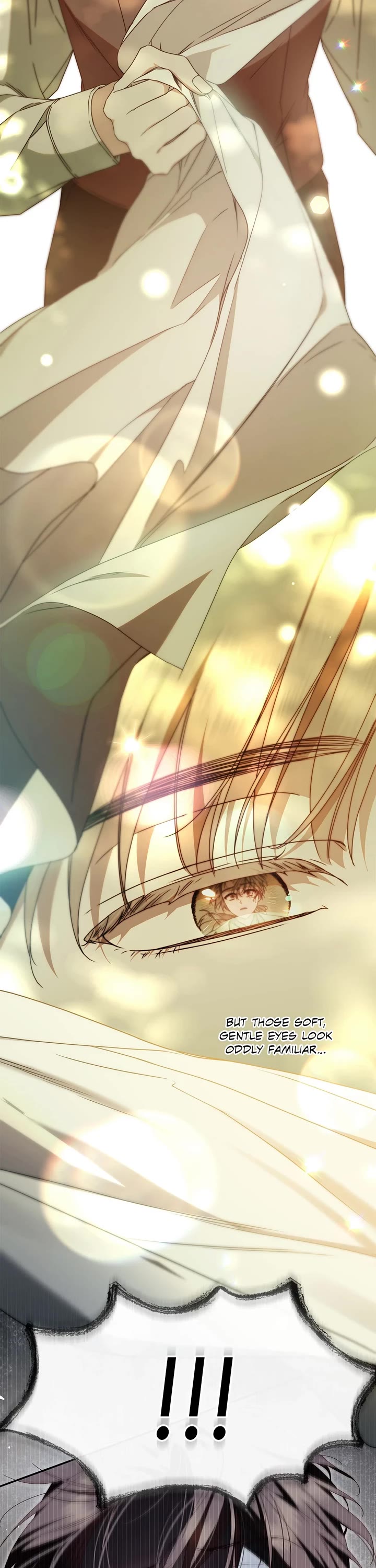 The Count's Secret Maid chapter 17 page 22