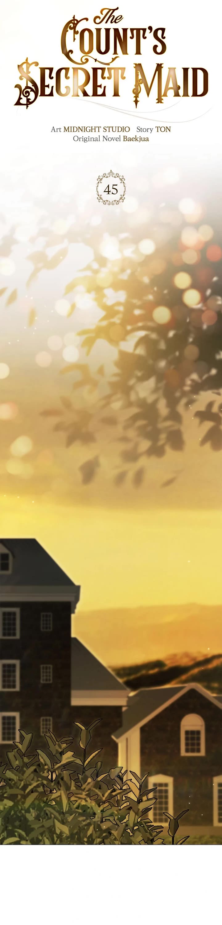 The Count's Secret Maid chapter 45 page 28