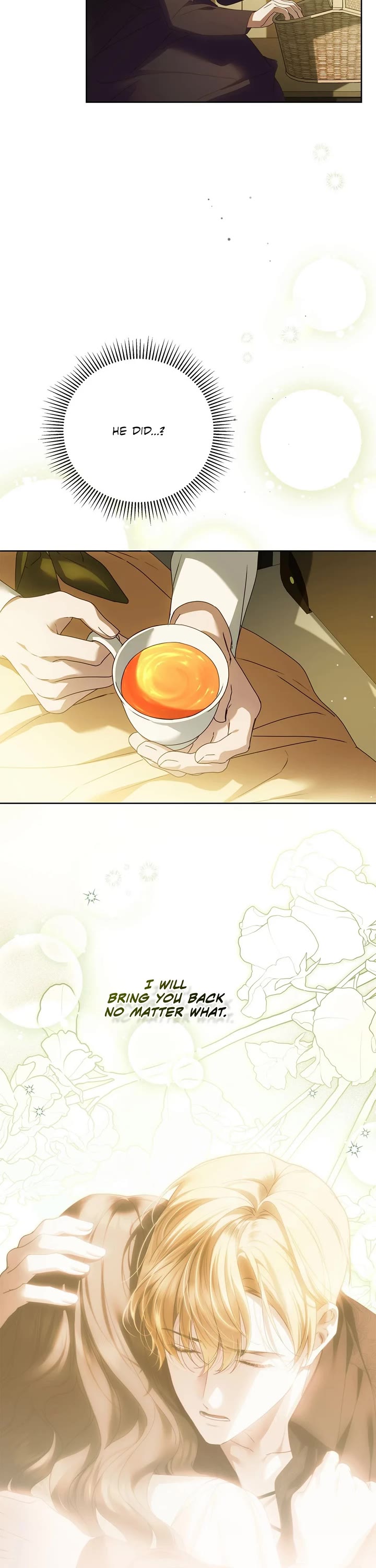 The Count's Secret Maid chapter 46 page 28