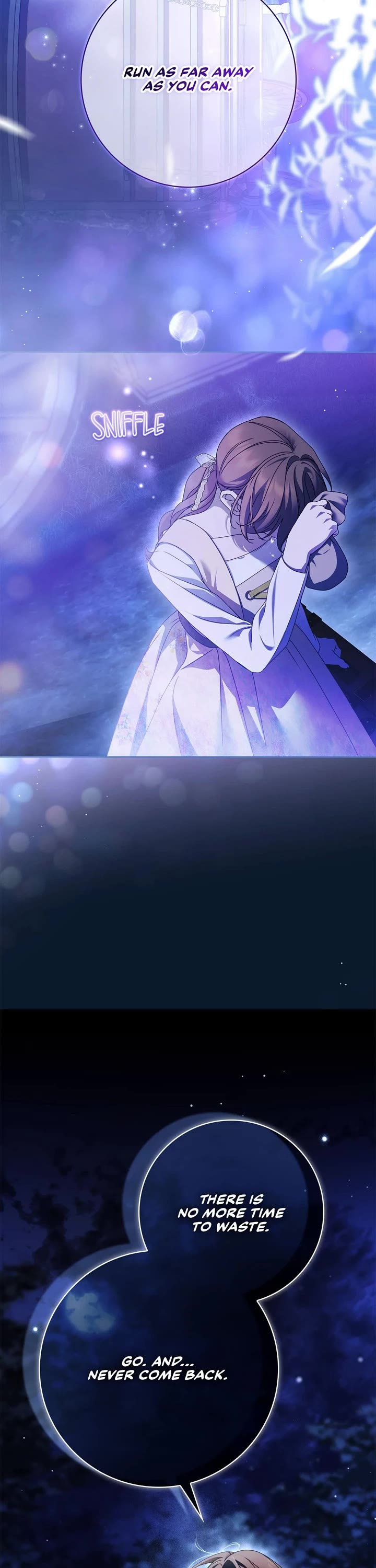 The Count's Secret Maid chapter 47 page 17