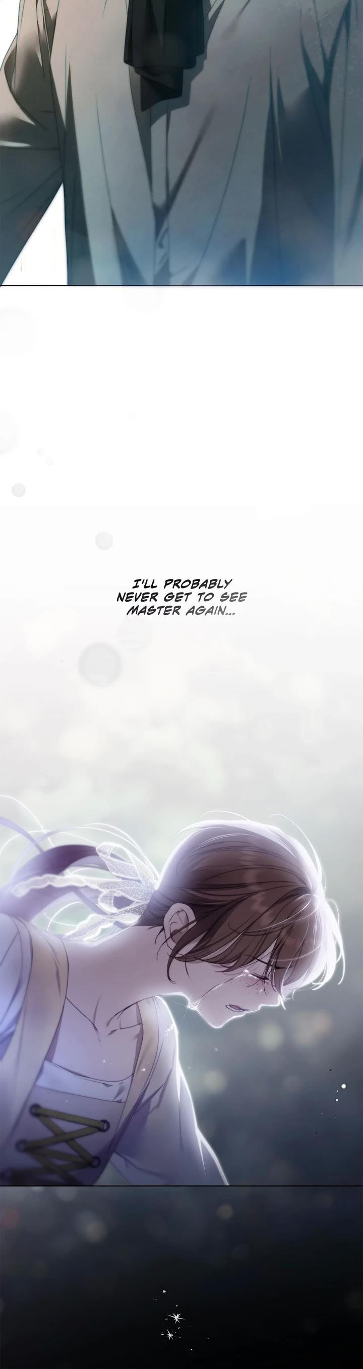 The Count's Secret Maid chapter 49 page 25