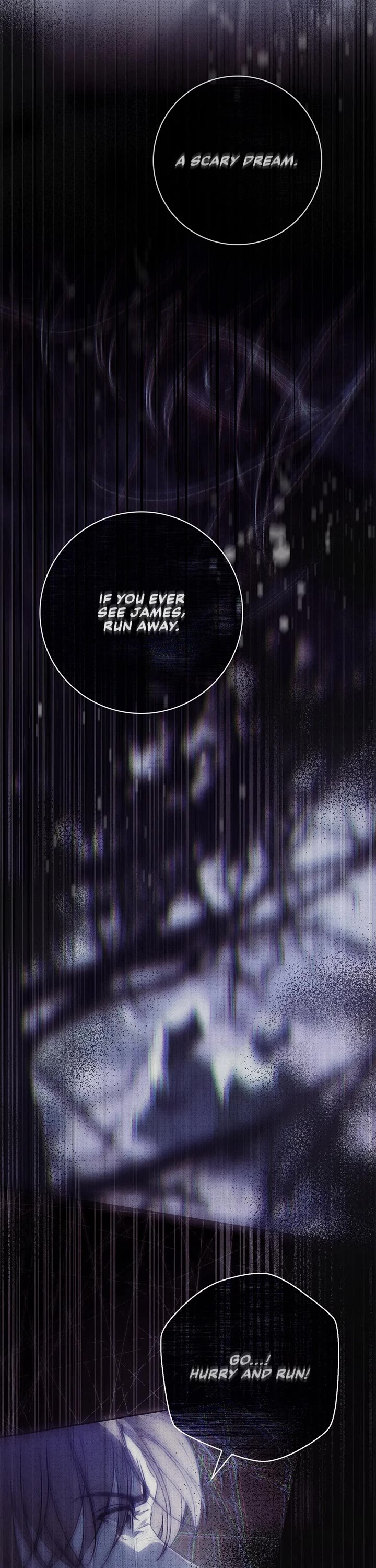 The Count's Secret Maid chapter 50 page 33