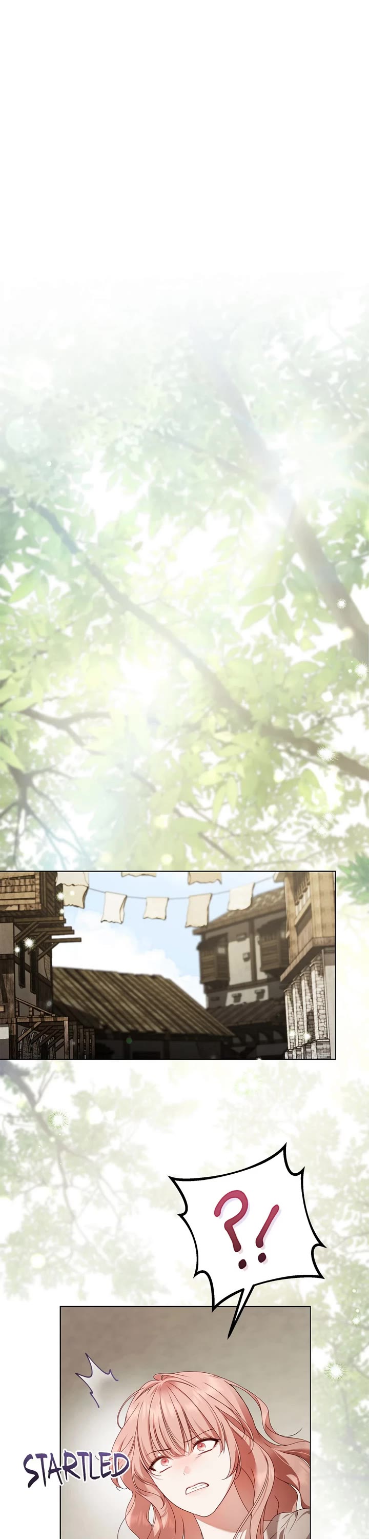 The Count's Secret Maid chapter 53 page 12