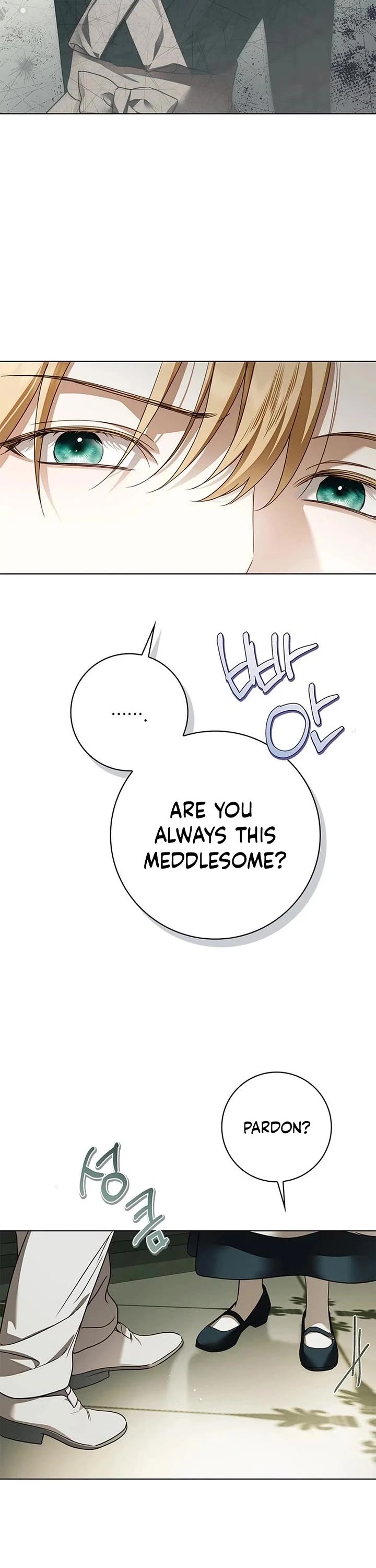 The Count's Secret Maid chapter 84 page 17