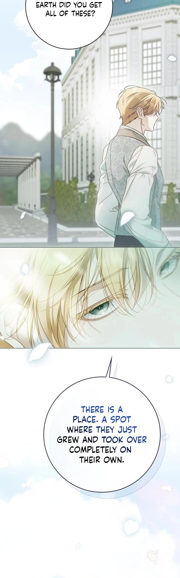 The Count's Secret Maid chapter 90 page 31