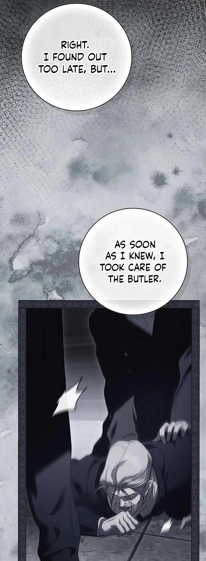 The Count's Secret Maid chapter 92 page 14