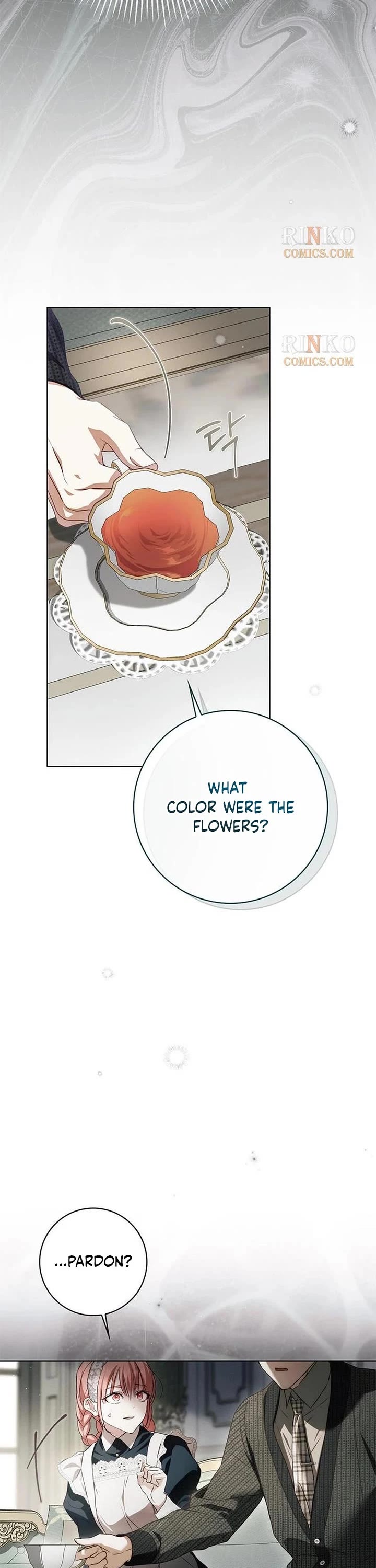The Count's Secret Maid chapter 94 page 47