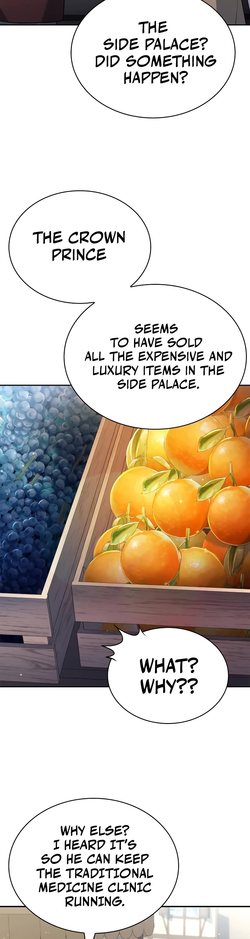 The Crown Prince That Sells Medicine chapter 30 page 4
