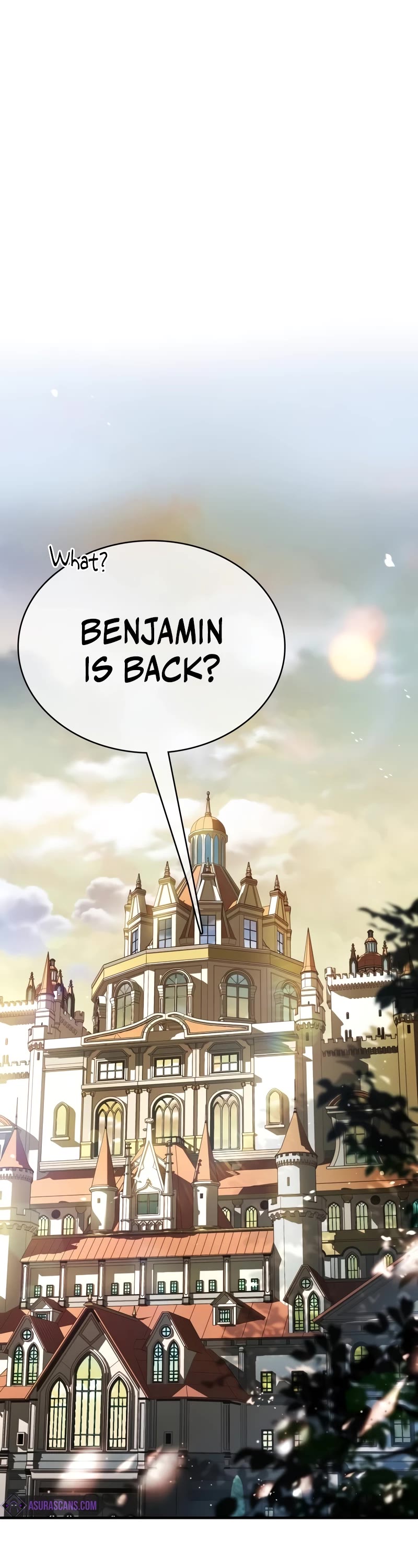 The Crown Prince That Sells Medicine chapter 47 page 29