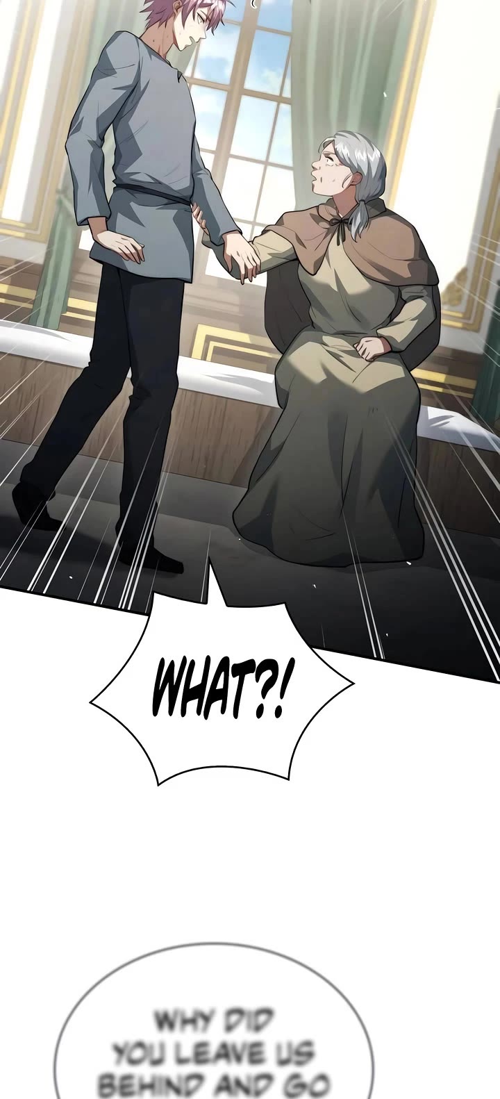 The Crown Prince That Sells Medicine chapter 87 page 29