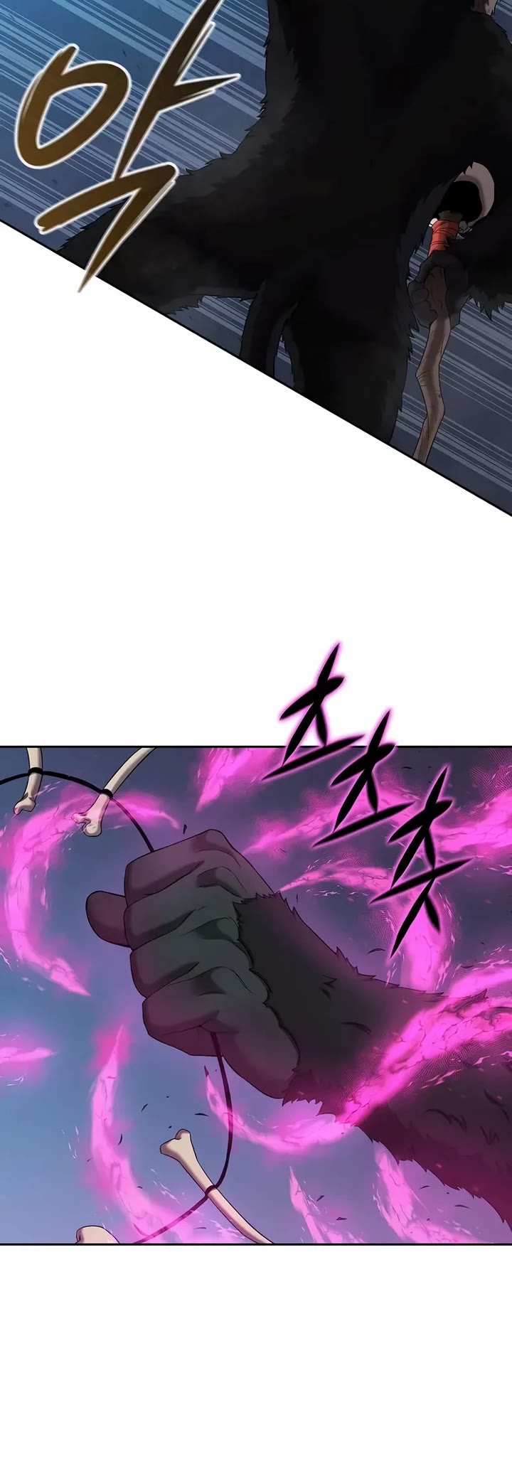 The Dark Mage's Return to Enlistment chapter 74 page 10