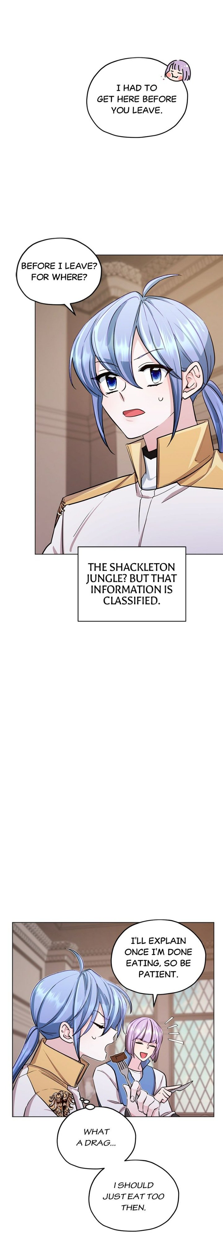 The Daughter of the Elemental King chapter 109 page 20