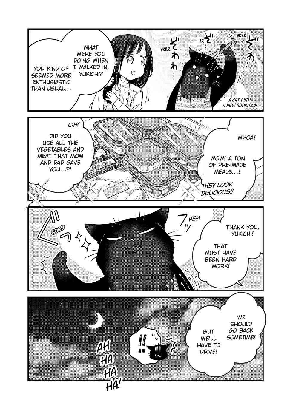 The Deceitful Cat is Depressed Again Today chapter 123 page 11