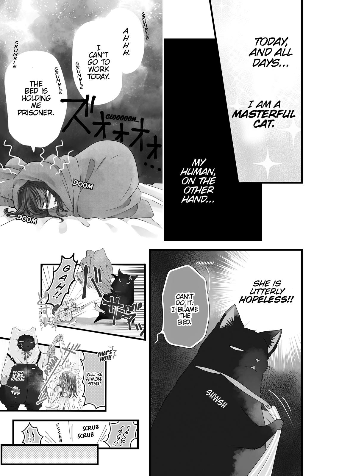 The Deceitful Cat is Depressed Again Today chapter 22.5 page 11