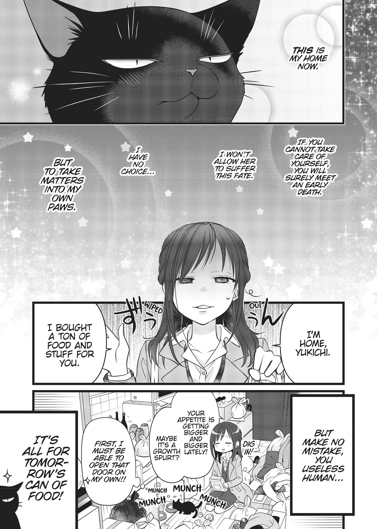 The Deceitful Cat is Depressed Again Today chapter 35.5 page 8