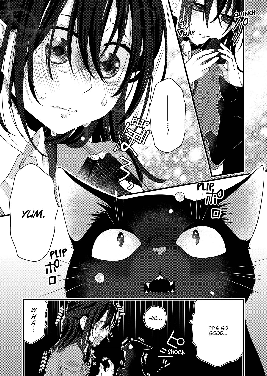 The Deceitful Cat is Depressed Again Today chapter 56.5 page 17