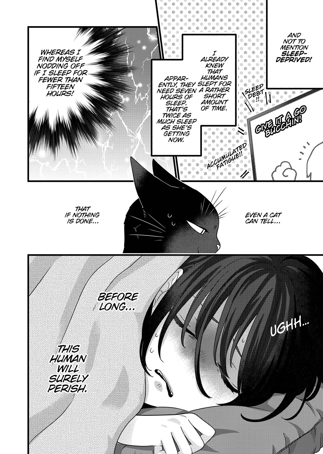 The Deceitful Cat is Depressed Again Today chapter 56.5 page 2