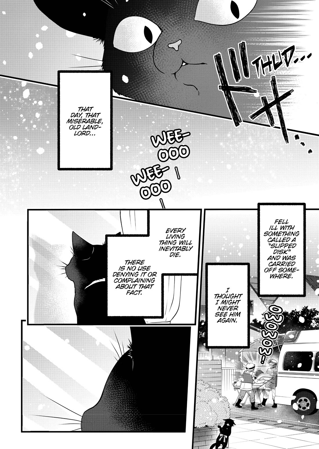 The Deceitful Cat is Depressed Again Today chapter 56.5 page 6