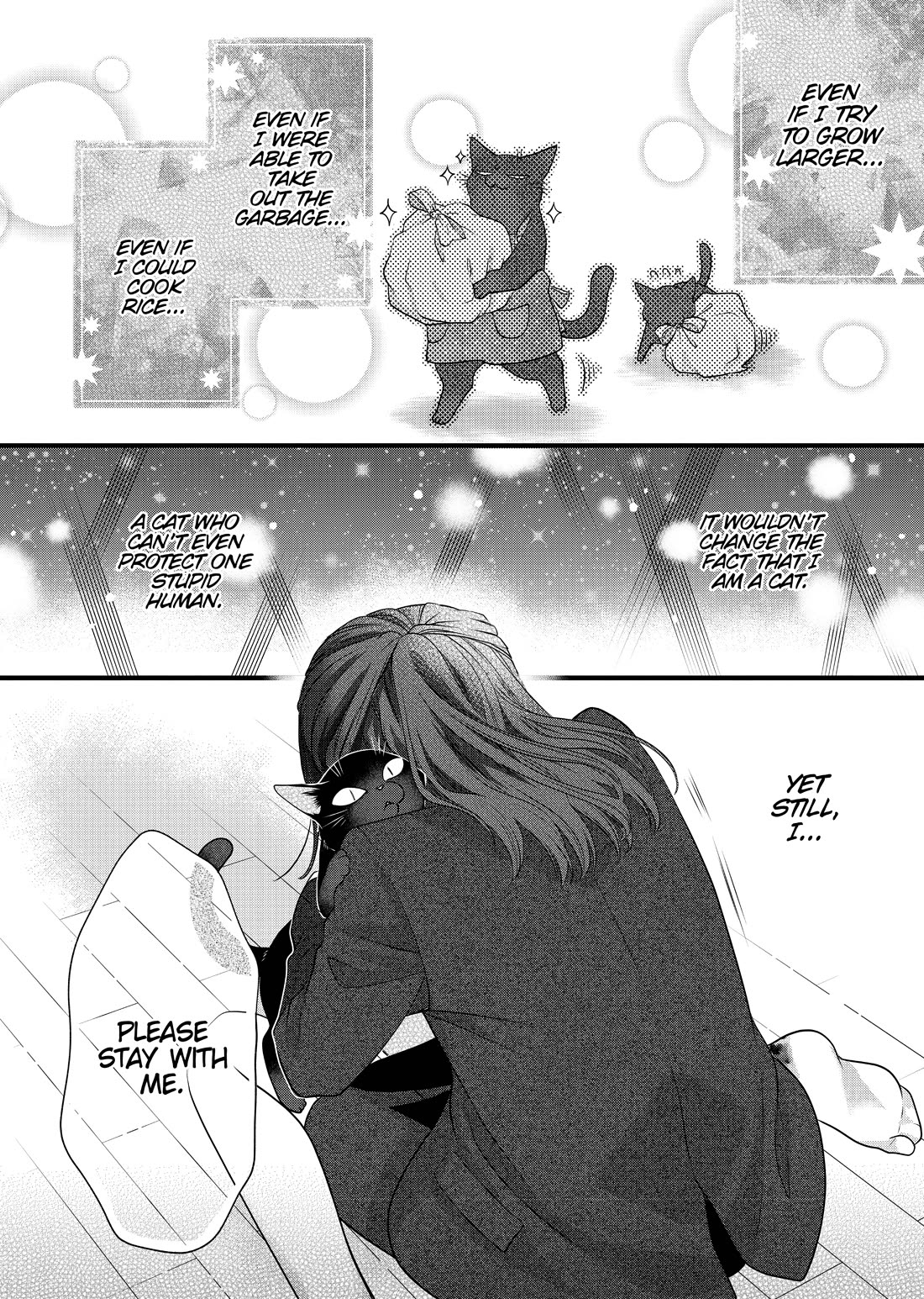 The Deceitful Cat is Depressed Again Today chapter 69.5 page 12