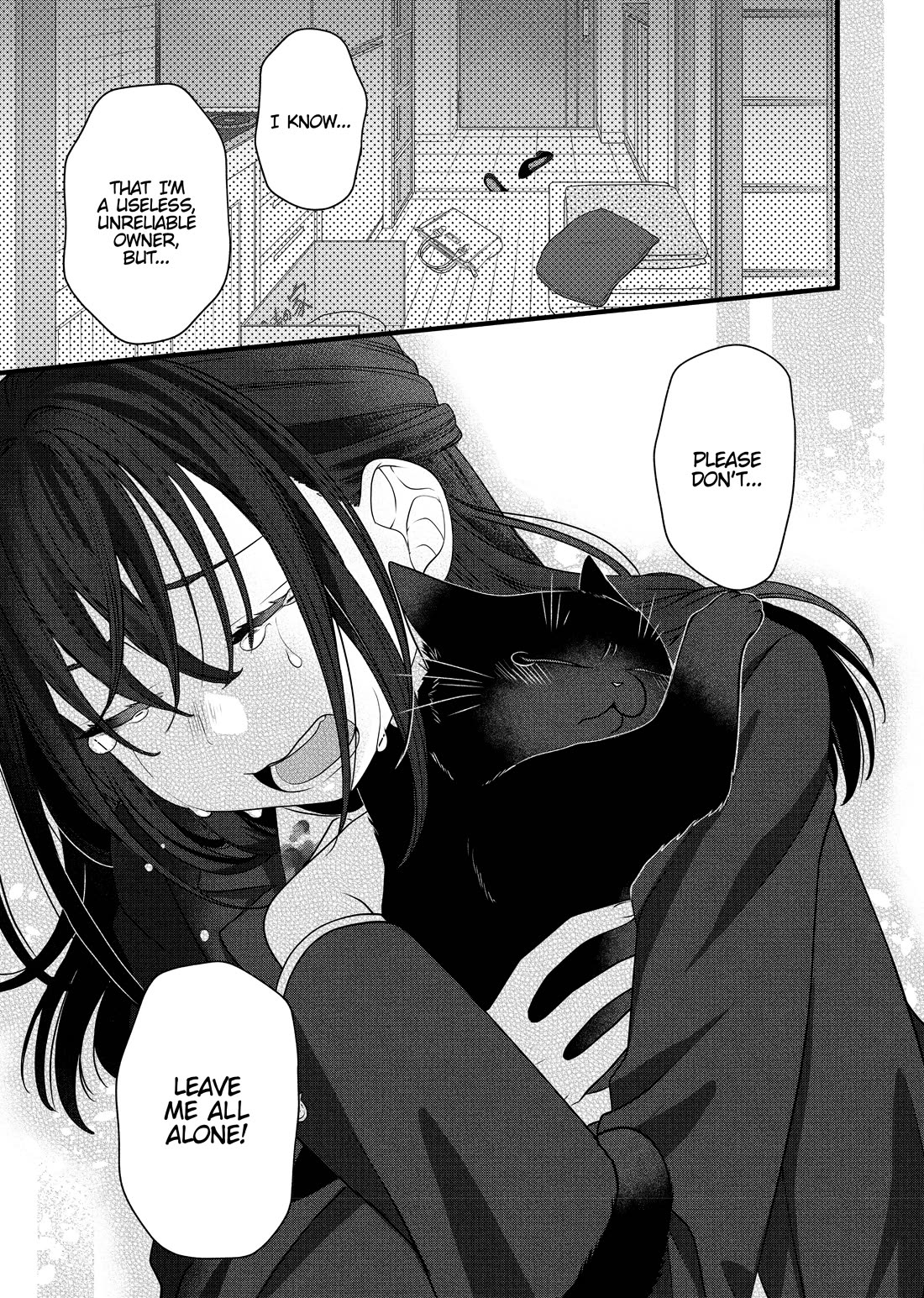 The Deceitful Cat is Depressed Again Today chapter 69.5 page 13