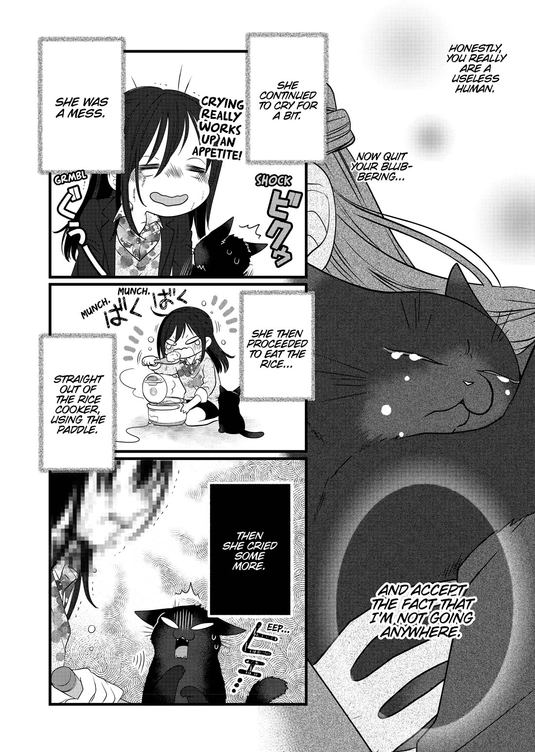 The Deceitful Cat is Depressed Again Today chapter 69.5 page 14