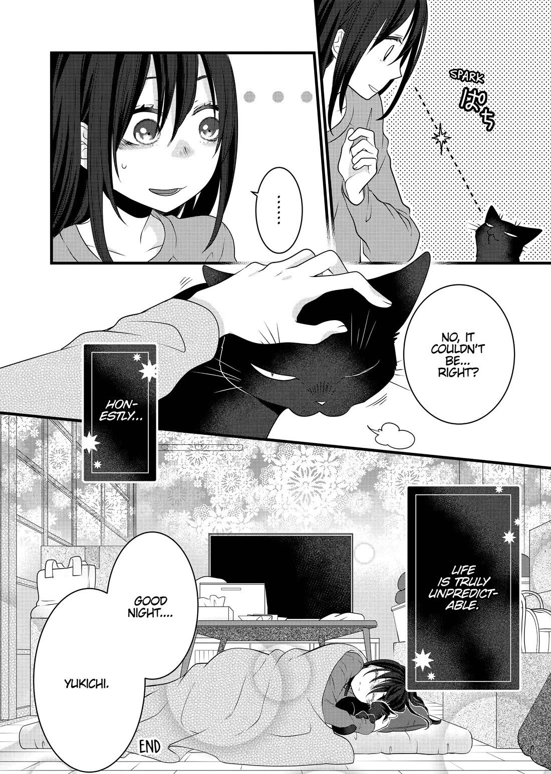 The Deceitful Cat is Depressed Again Today chapter 69.5 page 16