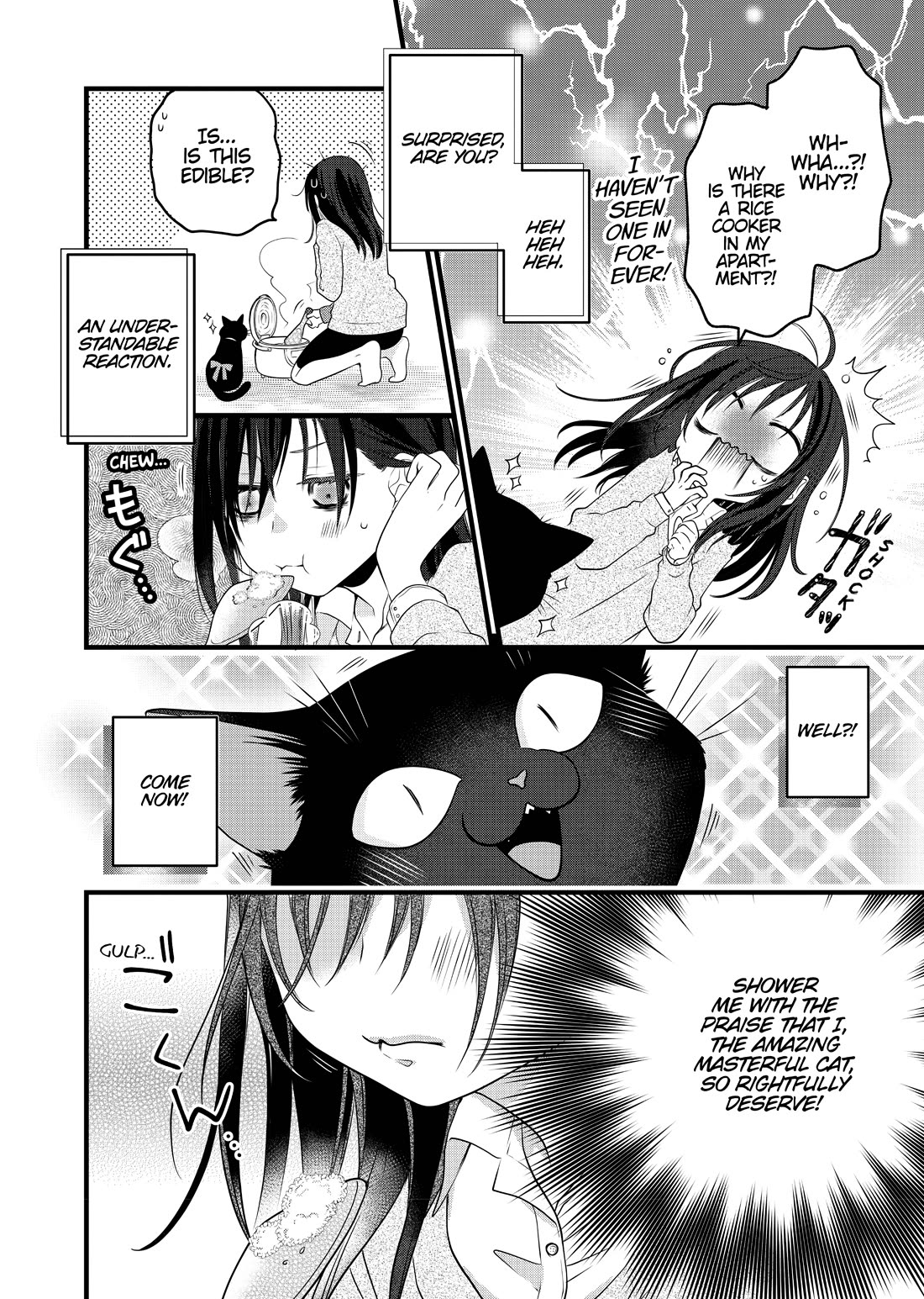 The Deceitful Cat is Depressed Again Today chapter 69.5 page 2