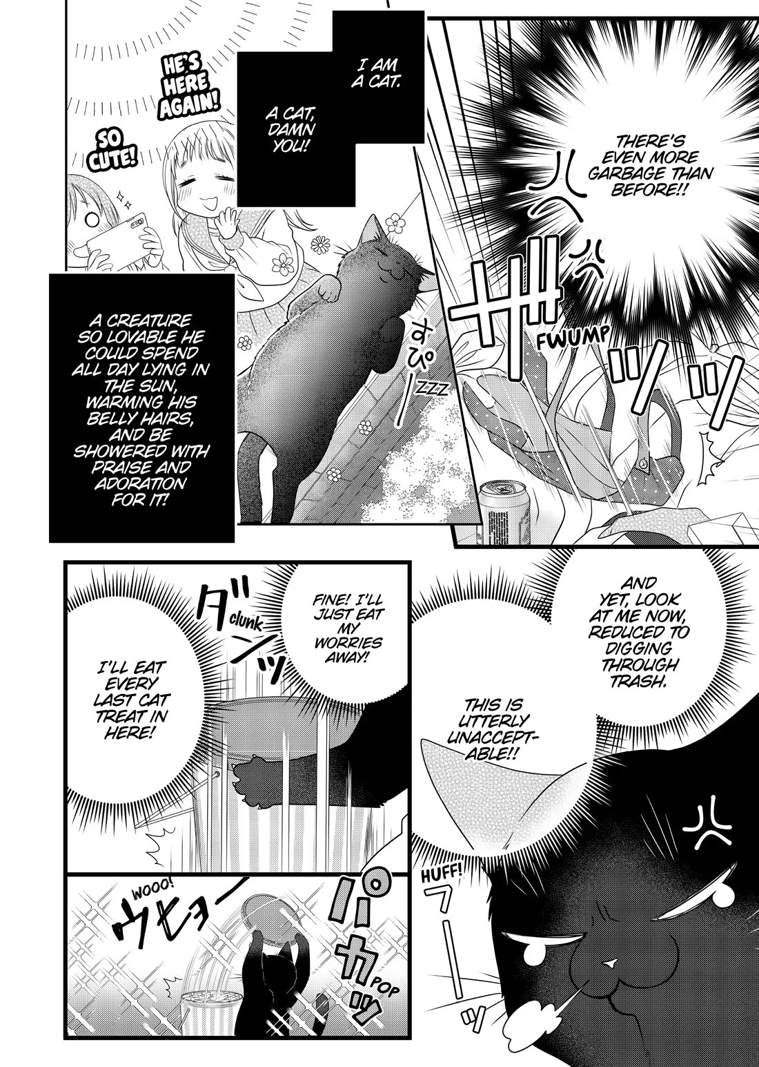 The Deceitful Cat is Depressed Again Today chapter 82.5 page 10