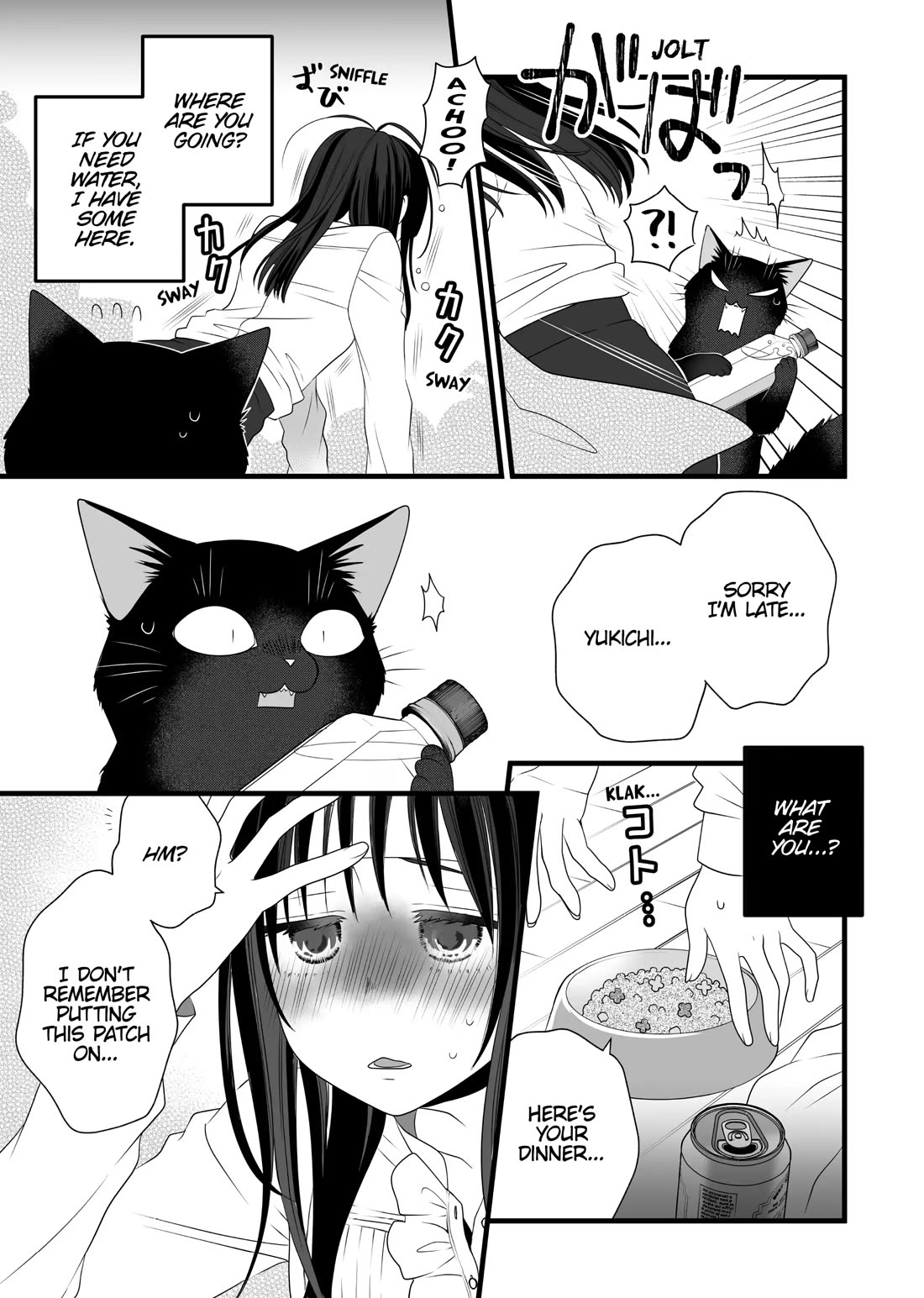 The Deceitful Cat is Depressed Again Today chapter 82.5 page 17