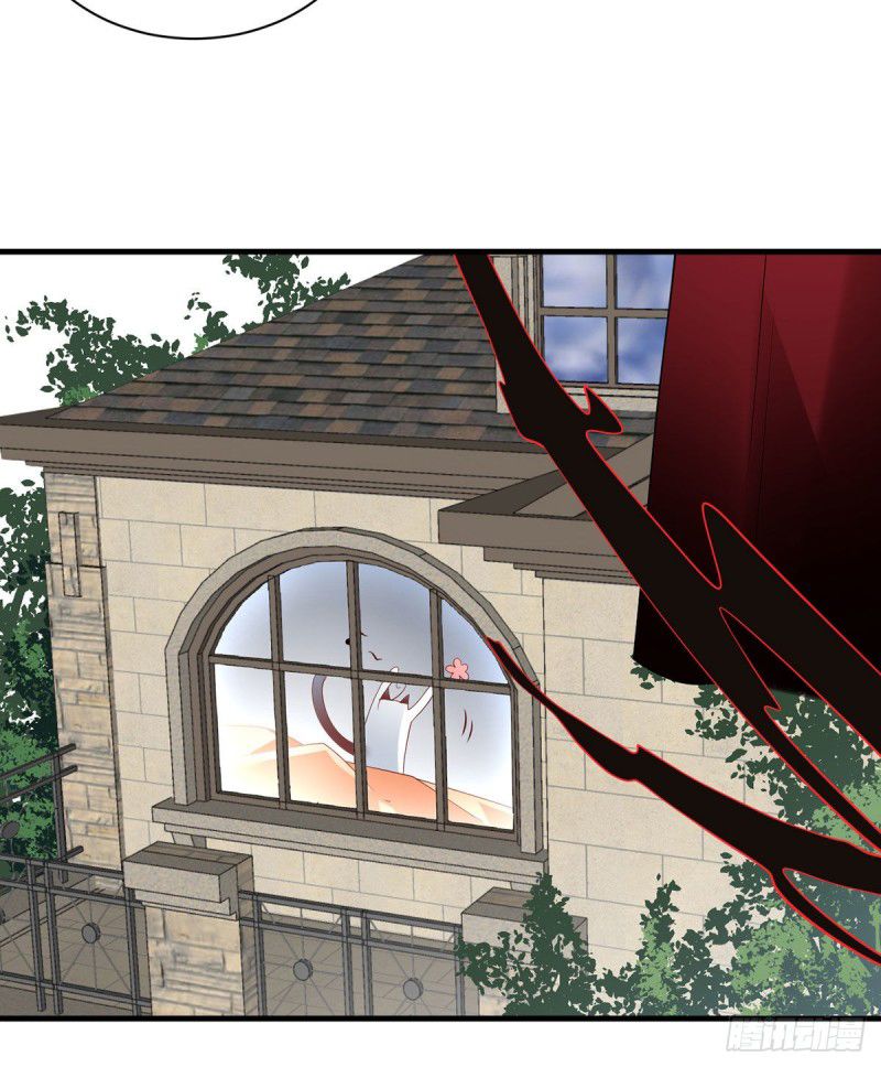 The Distinguished Cute Master chapter 208 page 30